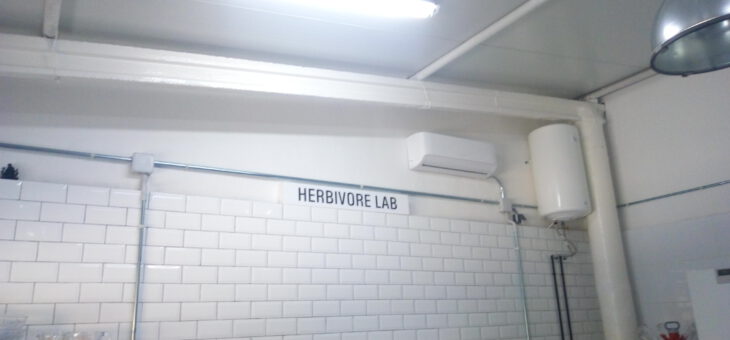 Herbivore group: Obrador de comida vegana en Reus
